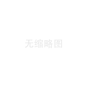 轻型电动货车悬挂系统异响问题的应对方法