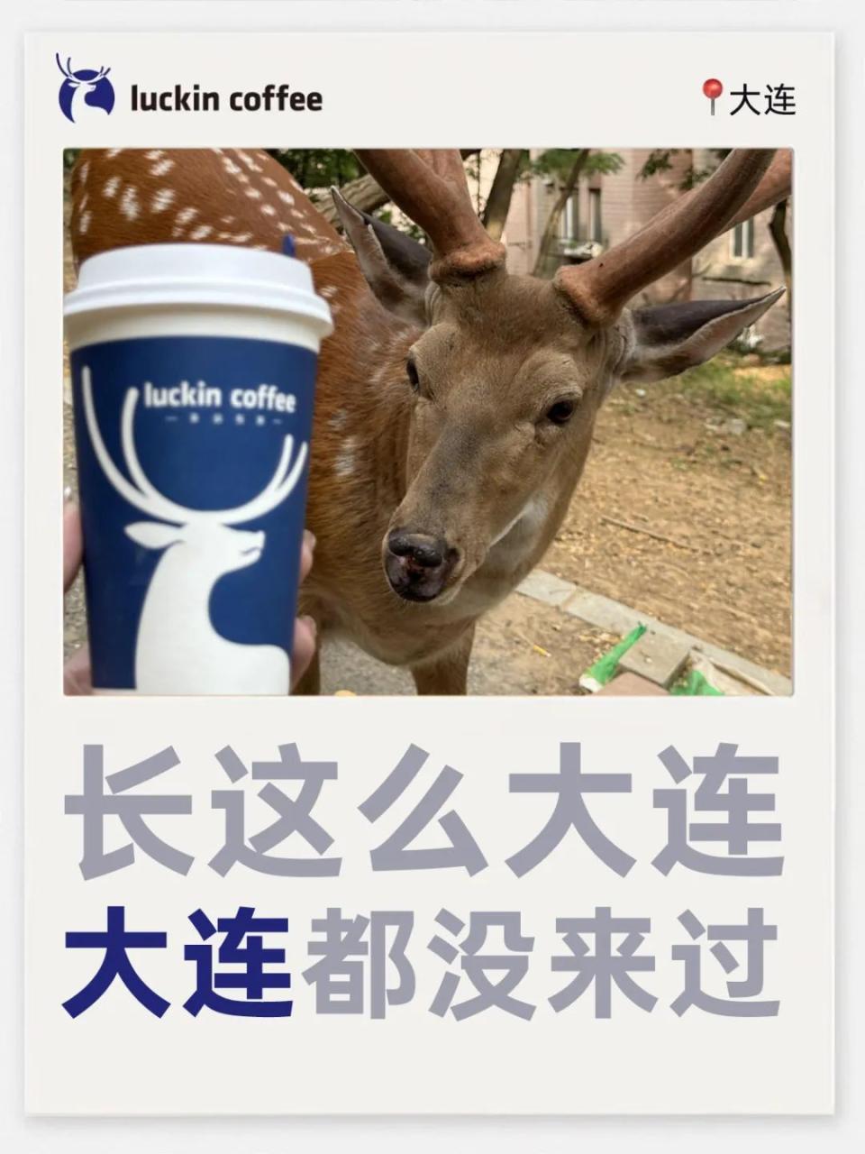 瑞幸City城市谐音梗创意文案